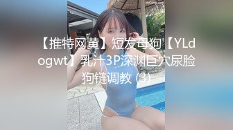 【推特网黄】短发母狗【YLdogwt】乳汁3P深渊巨穴尿脸狗链调教 (3)