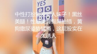 我的小情人三