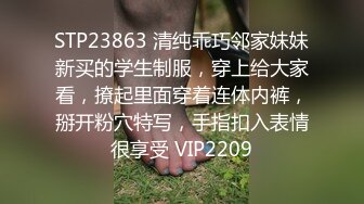 高质量自拍特录：情侣日常生活记录影像，女主漂亮身材极品，胸浑圆丰满