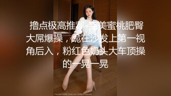  撸点极高推荐-完美蜜桃肥臀大屌爆操，跪在沙发上第一视角后入，粉红色奶头大车顶操的一晃一晃