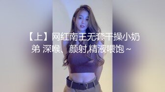 女仆情趣2