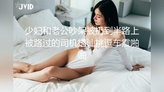 少妇和老公吵架被扔到半路上被路过的司机搭讪挑逗车震啪啪