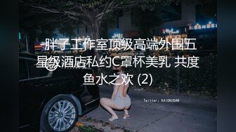 走錯廁所與陌生人激烈交戰  （中文字幕&劇情）