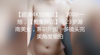 【超清4K版精品】，3000一炮，【推车探花】，23岁湖南美女，兼职外围，多镜头完美角度偷拍