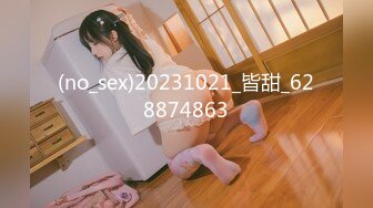 5/27最新 猫系女家政主人隐藏菜单有事没事抽插女仆尽情榨精VIP1196