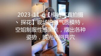 2023-11-6【模特写真拍摄丶探花】现场拍摄气质模特，空姐制服性感黑丝，摆出各种姿势，脱光光掰开穴