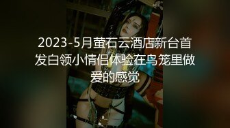 2023-5月萤石云酒店新台首发白领小情侣体验在鸟笼里做爱的感觉