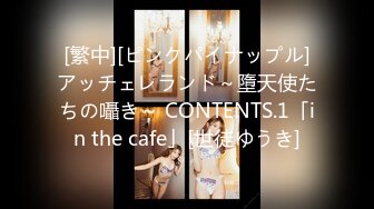 [繁中][ピンクパイナップル]アッチェレランド～墮天使たちの囁き～ CONTENTS.1「in the cafe」[世徒ゆうき]