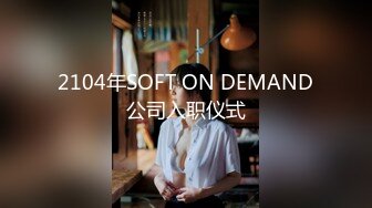 2104年SOFT ON DEMAND公司入职仪式