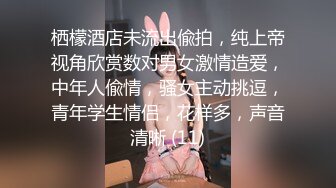 栖檬酒店未流出偸拍，纯上帝视角欣赏数对男女激情造爱，中年人偸情，骚女主动挑逗，青年学生情侣，花样多，声音清晰 (11)