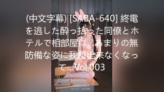 HEYZO 1559 家事代行サービスお姉さんのHな秘め事 - 愛咲ななみ