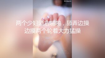 LJ极品地铁高清CD系列20部合集 (18)