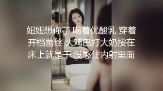 极品少妇，红色情趣装2