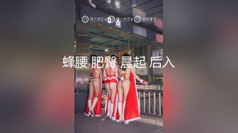 【新片速遞】  ✨✨✨【恋哥】12.03 偷拍 网恋奔现✨✨-~离异良家，到女主闺房喝酒聊天， 男主连攻3轮只能脱到剩内裤