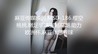 国产麻豆AV MSD MSD003 菜鸟特务 入侵者的反奸凌辱 袁子仪