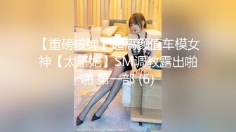 【重磅核弹】超高颜值车模女神【太子妃】SM调教露出啪啪 第一部 (6)