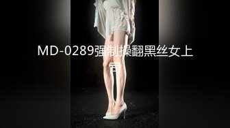 MD-0289强制操翻黑丝女上司