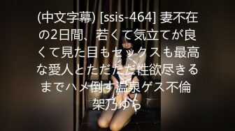 HEYZO 3227 みつ葉と主観SEX～美女コレクションVol.8～ &#8211; 菊川みつ葉