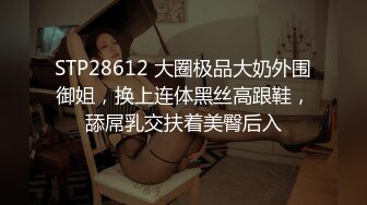 0379洛阳粉嫩大屌后入小少妇