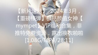 【新片速遞】  2024年3月，【重磅核弹】极品颜值女神【mympet】VIP福利合集，非推特免费资源，露出换衣啪啪[1.08G/MP4/28:11]