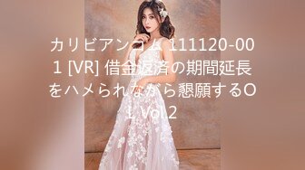 カリビアンコム 111120-001 [VR] 借金返済の期間延長をハメられながら懇願するOL Vol.2