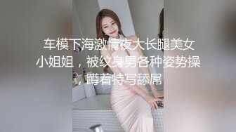  车模下海激情夜大长腿美女小姐姐，被纹身男各种姿势操，蹲着特写舔屌