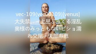 vec-109(vec00109)[venus]大失禁。～上品ぶってる淫乱奥様のみっともないビショ濡れ交尾～矢部寿恵