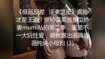 主观视角单挑巨乳家庭主妇Housewifes1on1系列早期资源合集第二弹【48V】 (28)