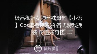 极品御姐女神丝袜母狗【小语】Cos旗袍装啪啪 各式游戏换装 粉逼好奇怪