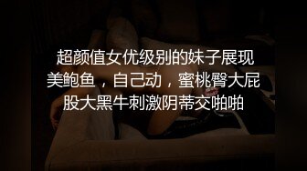 《最新曝料重磅泄密》顶级身材著名封面模特国产女神【苏莱娜】私拍，被大洋屌花臂男各种输出，紫薇肛塞形象反差极大 (3)