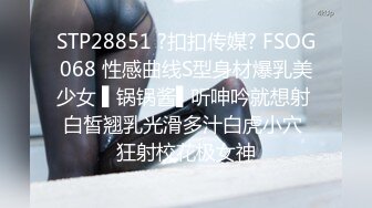 东京美臀美胸的小母狗2