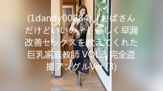 (1dandy00884)「おばさんだけどいいの？」優しく早漏改善セックスを教えてくれた巨乳家庭教師 VOL.3 完全盗撮アングルVer (3)