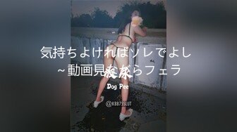 気持ちよければソレでよし ～動画見ながらフェラ